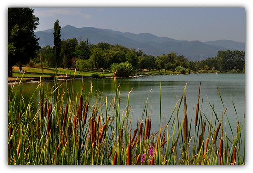 trees mountain lake france reflection water reeds lac peaceful reflect le tranquil canigou mygearandme flickrstruereflection1