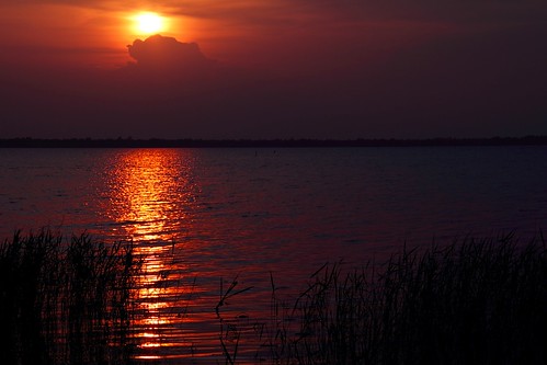 sunset sky brilliant color lake lakemoultrie monckscorner southcarolina mdggraphix