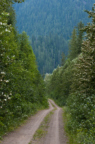 road canada forest columbia service british morkill princegeorgenaturalistsclub