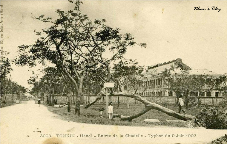 Typhon 1903