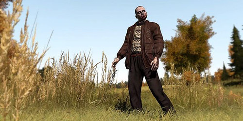 DayZ Stand Alone May Not See 2012 Release