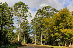 Eastern Exit From Hannam Vale Village, Manning Valley, NSW