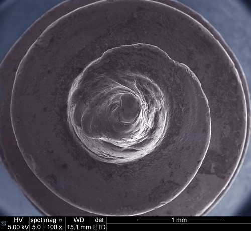 spiral screw fei microscopy magnification nanotechnology electronmicroscope nanoimage feicompany microscopyimage feiimagecontest quantadualbeamfamily materialssciencematerialsimaging analysisandcharacterization