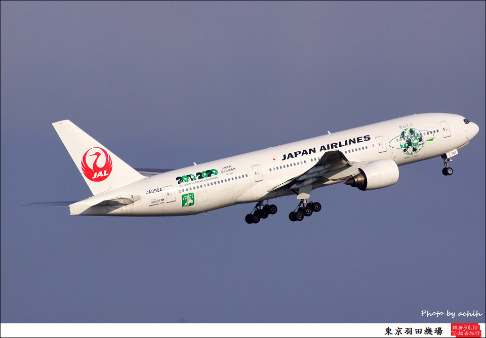 Japan Airlines - JAL / JA8984 / Tokyo - Haneda International