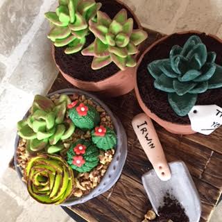 Cactus Planters by Corry Pambuko of Corry's Handmade Home Baking