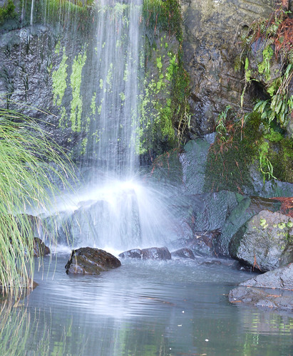 water waterfall hamiltongardens 366