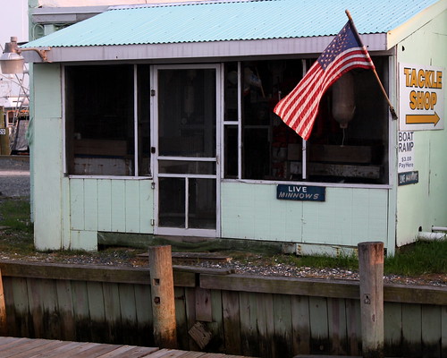 window sign marina virginia americanflag easternshore nautical minnow tackle wachapreague