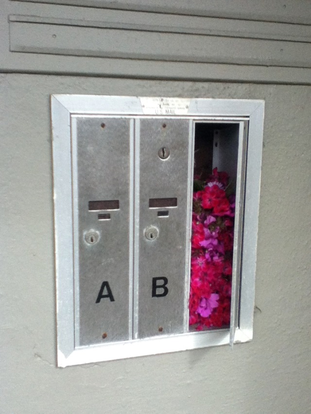 apartment mailbox slot stuffed with pink flowers