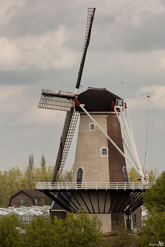 holland mill netherlands windmill nederland historical molen windmolen gelderland historisch 1867 stellingmolen cornmill varik korenmolen debol rondestenenmolen bracom bramvanbroekhoven