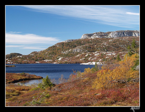 autumn norway norge kongsberg blefjell noorwegen