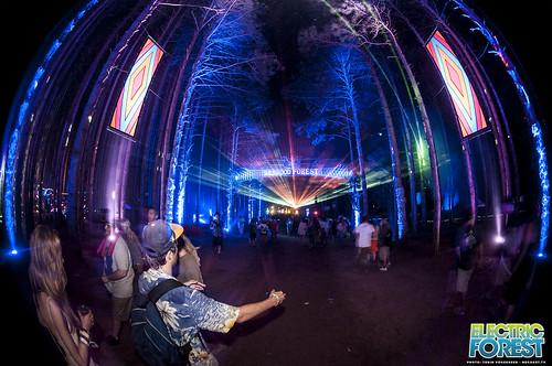 Electric Forest 2012