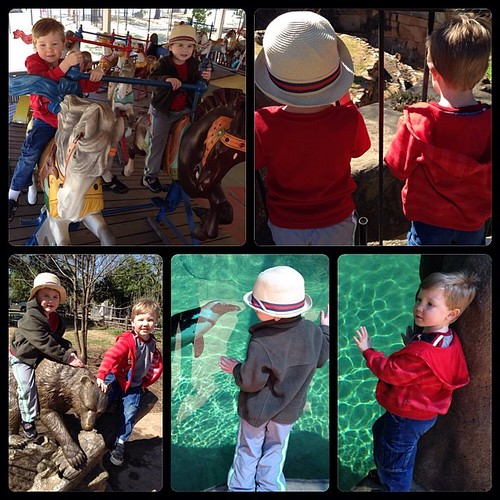 Having the cousins together makes me wish I'd had twins! They had fun at the zoo. We'll miss Nathan! #instacollage