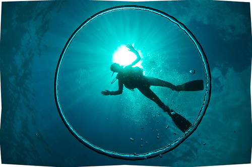 8 Tips for Responsible Diving
