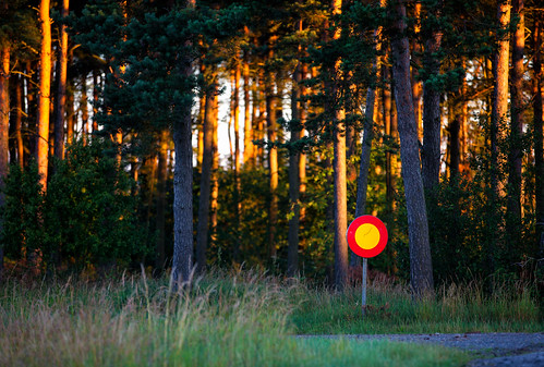 morning tree sign forest sunrise gold skåne sweden skog sverige träd skylt soluppgång morgon rött skånelän everöd trafikskylt canoneos5dmarkii canonef70200mmf28lisiiusm förbudmotfordonstrafik woodnovehicles