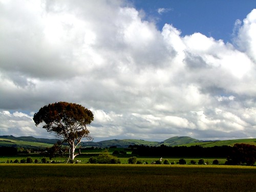 newzealand landscape wairarapa day309 s100fs 3652012 365the2012edition 04112012