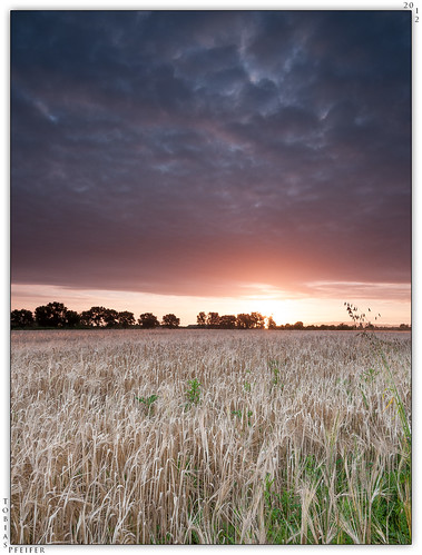 barley clouds sunrise landscape nikon dramatic wideangle manfrotto190xprob tokinaatx116prodx nikond300s siruik30x hitech09hardgrad100mmx150mm hitech06hardgrad100mmx150mm