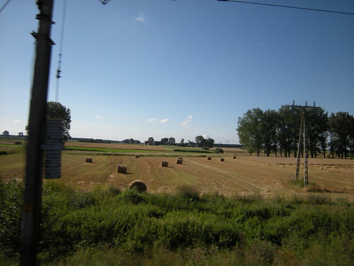 summer field country straw pole lazy crops lato słoma lednogóra żniwa fałkowo