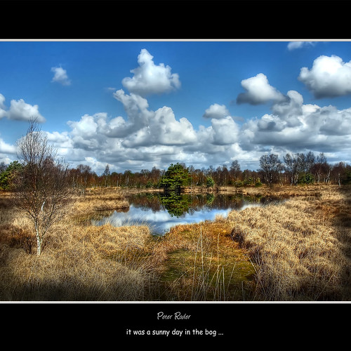 trees shadow sky sun lake reflection nature water clouds landscape bog