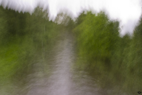 camera chris light sky blur tree green water canon river germany painting deutschland photography eos photo movement long exposure paint foto creative move filter nd shake fl icm hoya intentional friel 600d intended ndx8 intentionalcameramovement