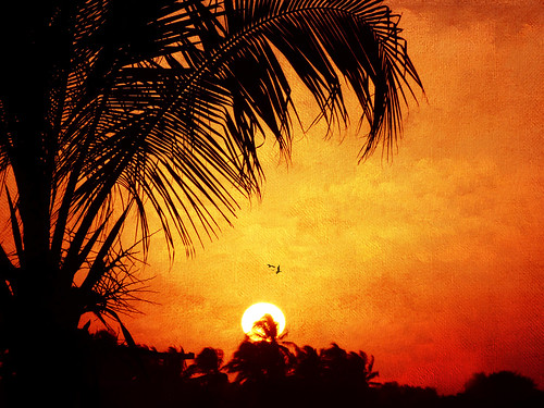 sunset vacation holiday silhouette paradise cuba tropical caribbean playadeleste villabacuranao