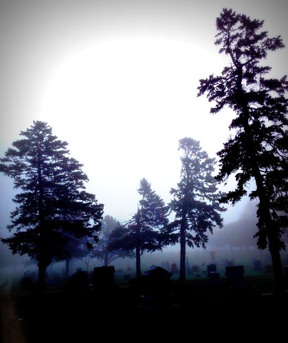 trees sky tree cemetery fog headstones stormlake stormlakeia stormlakemunicipalcemetery