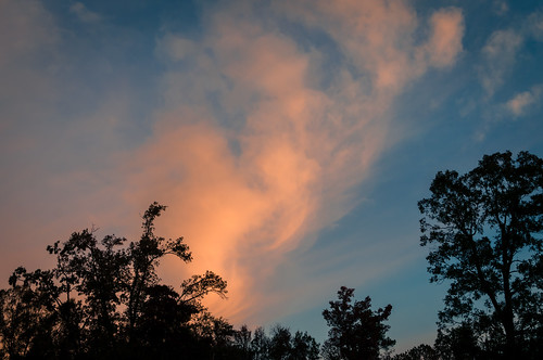 blue trees sky silhouette clouds dawn mood peach atmospheric moning
