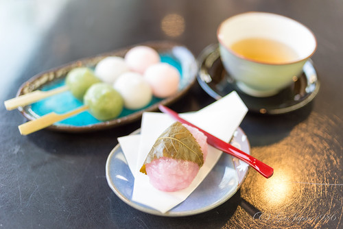 food japan iwate sweets 日本 岩手県 和菓子 2016 一関市 東北地方 nikond610 松栄堂総本店