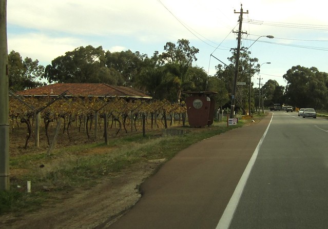 Grape vines... and a distinctive suburban Perth bus shelter, Swan Valley