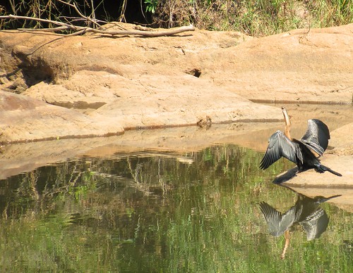 reflection bird river southafrica safari hoedspruit wildriversnaturereserve rukiyasafaricamp ontracksafaris
