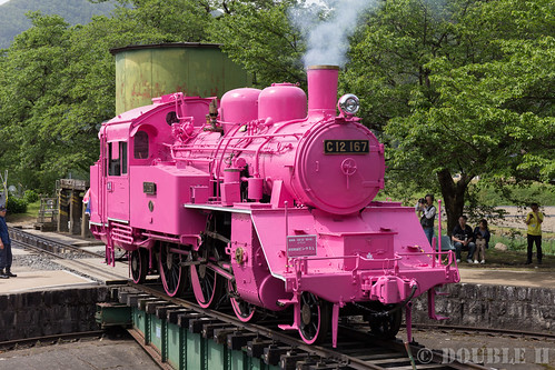 Pink SL at Wakasa Railway (33)