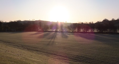 morning trees shadow sunlight sunrise frost shadows clear april northernireland 2012 tyrone castlecaulfield