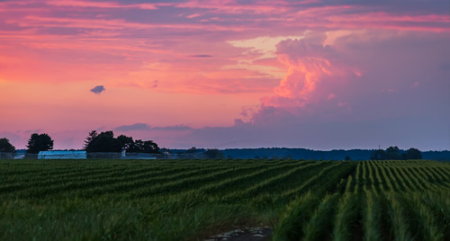 sunset storm clouds cornfield lafayette dusk farm indiana in ffields