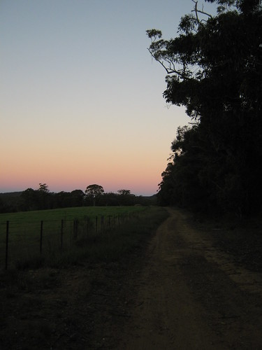 sunset australia bushwalking nsw newsouthwales welby southernhighlands boxvalewalkingtrack