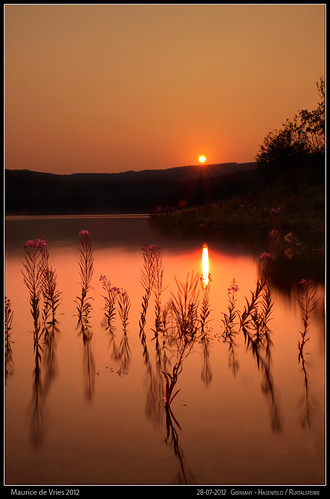 flowers sunset water canon germany landscape dam hdr duitsland rurtalsperre nd110 hasenfeld dreamscapesmaurice