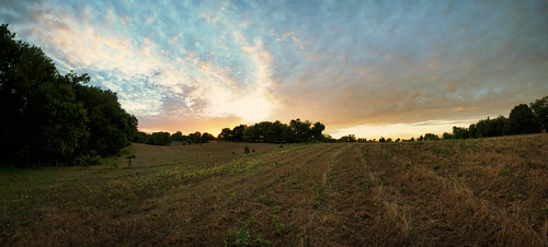trees sunset summer panorama usa cemetery field grass clouds fence michigan july pasture