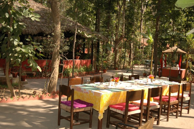 Kanha Jungle Lodge 