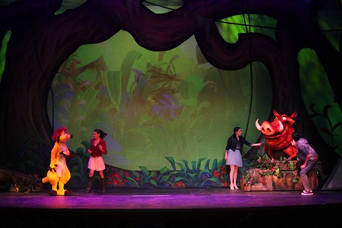 The Lion King - Wishes stage show