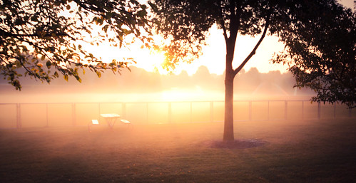 morning mist field fog sunrise canon fence illinois baseball picnicbench 500d downersgrove rodde t1i kevinrodde whitlockpark kevinroddephoto kevinroddephotography