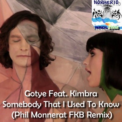 Gotye Feat. Kimbra - Somebody That I Used To Know (Phil Monnerat FKB Remix)