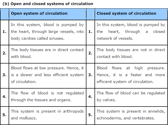 in a closed circulatory system blood