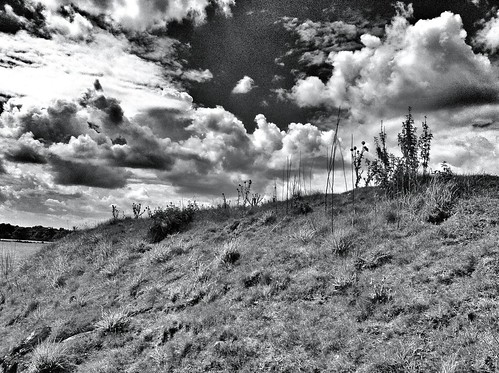 life lighting city flowers light england sky blackandwhite sun white plant black castle art church monochrome beautiful up grass leaves weather closeup clouds buildings garden lens evening scotland amazing exposure day skies shadows close view natural top unique gorgeous thistle awesome centre details extreme over m everyday mound storms gra iphone beheaded mediveal fotheringhay queenofscots iphonegraphy iphoneography instagram instagood instamood amazingbeautifulawesomeprettyglorious stormdaycloudyclearblue
