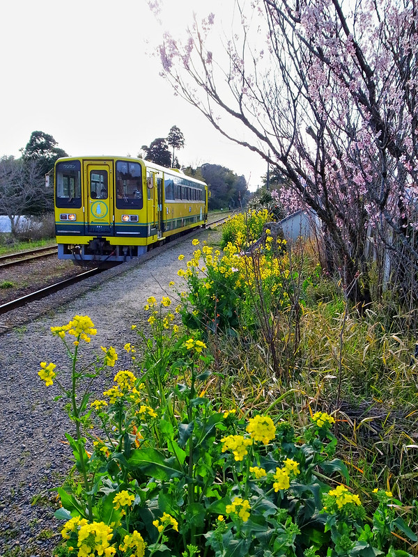 Isumi Railway