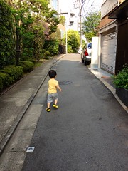朝散歩 とらちゃん (2012/7/29)