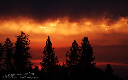 pink trees sky orange sun storm pine clouds sunrise canon fire purple smoke