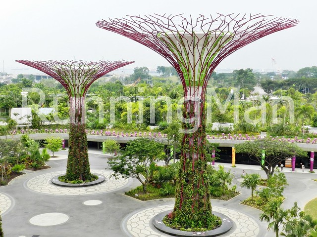 Gardens By The Bay 03