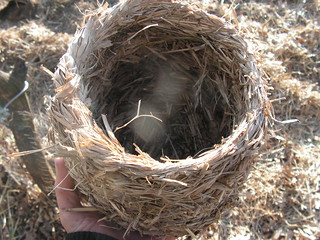 rough/rustic grass coiled basket