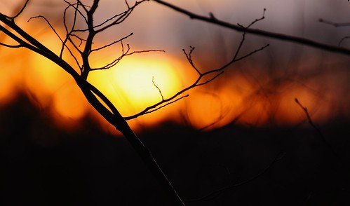 sunset pinnaclephotography