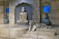 White Tiger of Maharaja's Temple