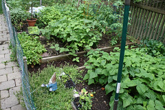 side garden 022