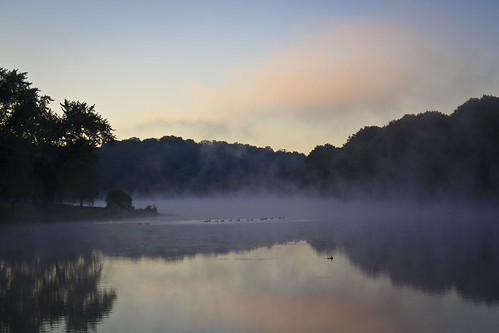 park pink blue sun lake fog sunrise purple pennsylvania ducks northmoreland